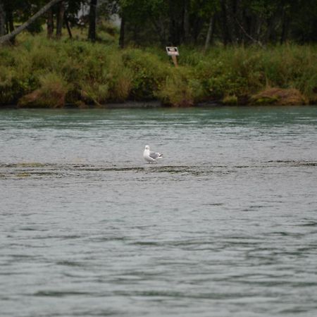 Salmon Catcher Lodge เคนาย ภายนอก รูปภาพ